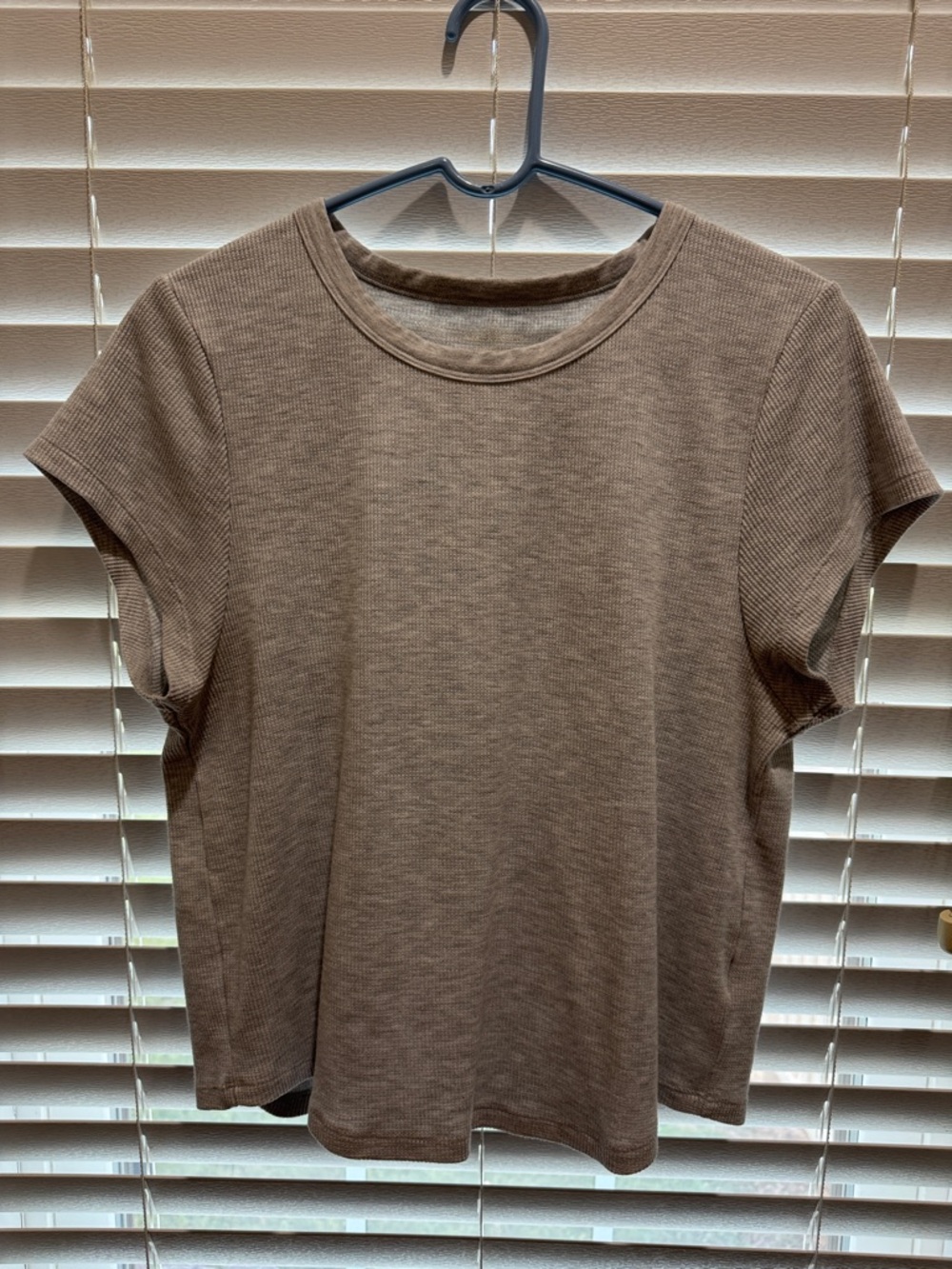 American Eagle Outfitters Short Sleeve Crewneck Top in Grey
